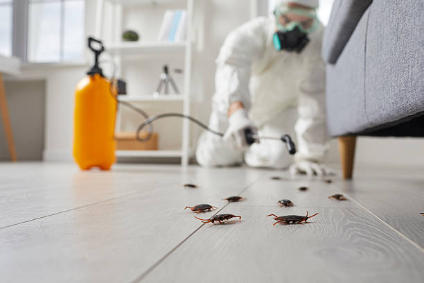 Commercial Kitchen Cockroach Control in Coos Bay